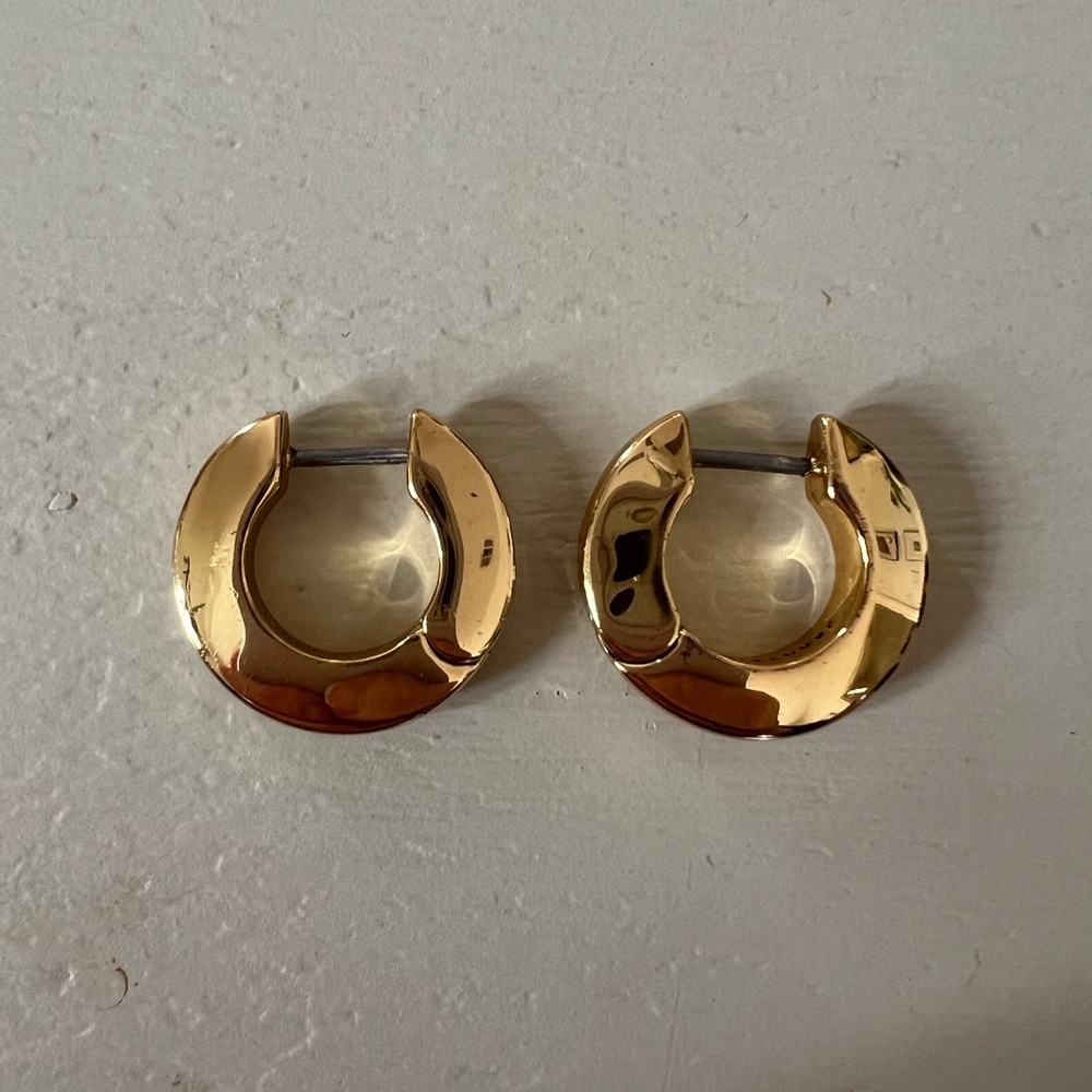 Jenny Bird Toni Hoop Earrings